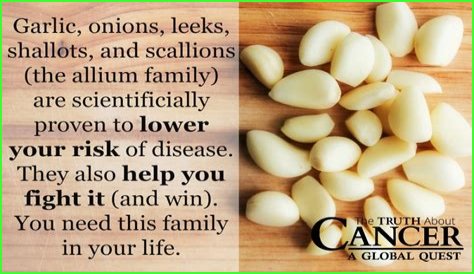 Onions, garlic cut prostate cancer risk